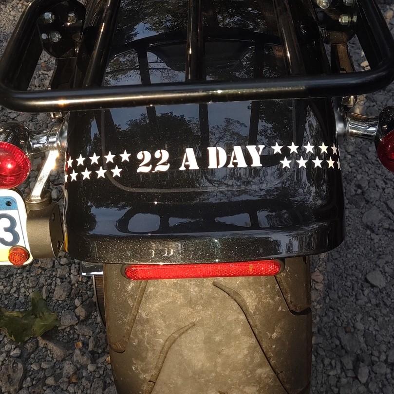 22 A Day Decal (12 inch) - Image 5